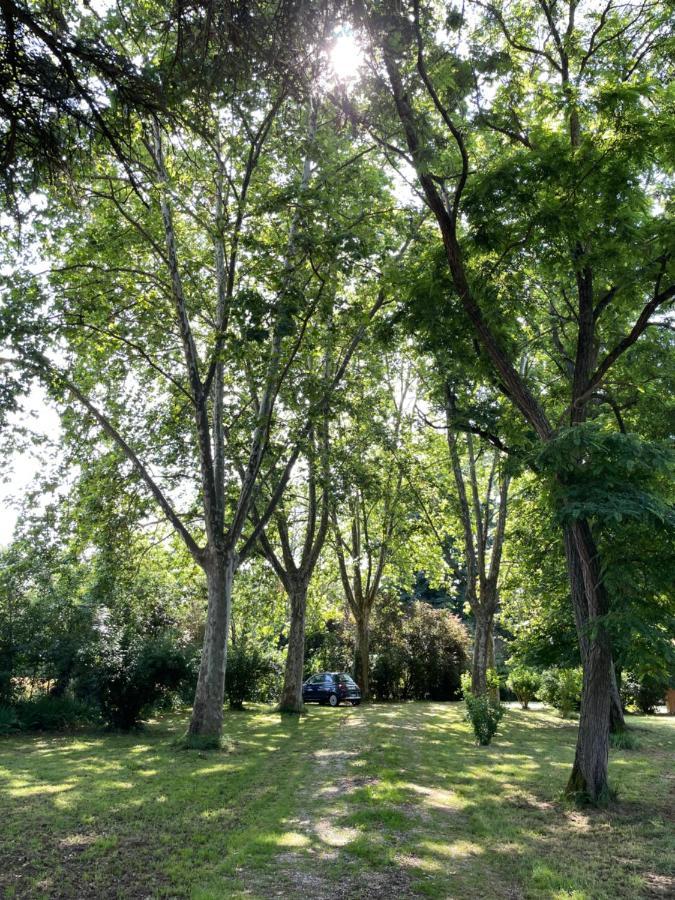 Petit Chateau Le Piot Bed and Breakfast Fleurance Esterno foto